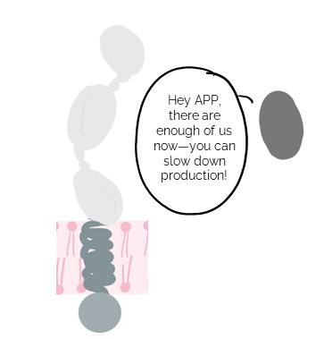 Cartoon of amyloid-beta peptide telling APP, "Hey APP, there are enough of us now--you can slow down production!"