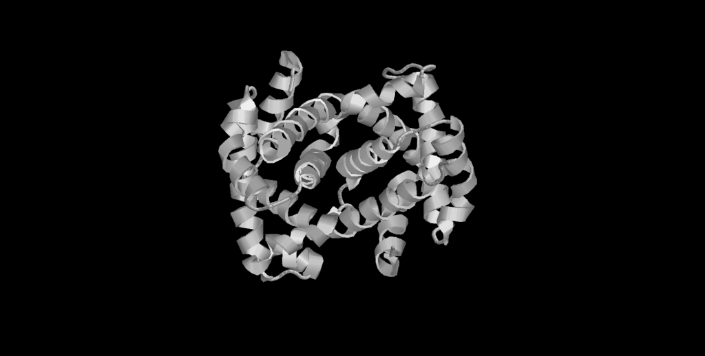 Three-dimensional structure model of the protein hemoglobin.