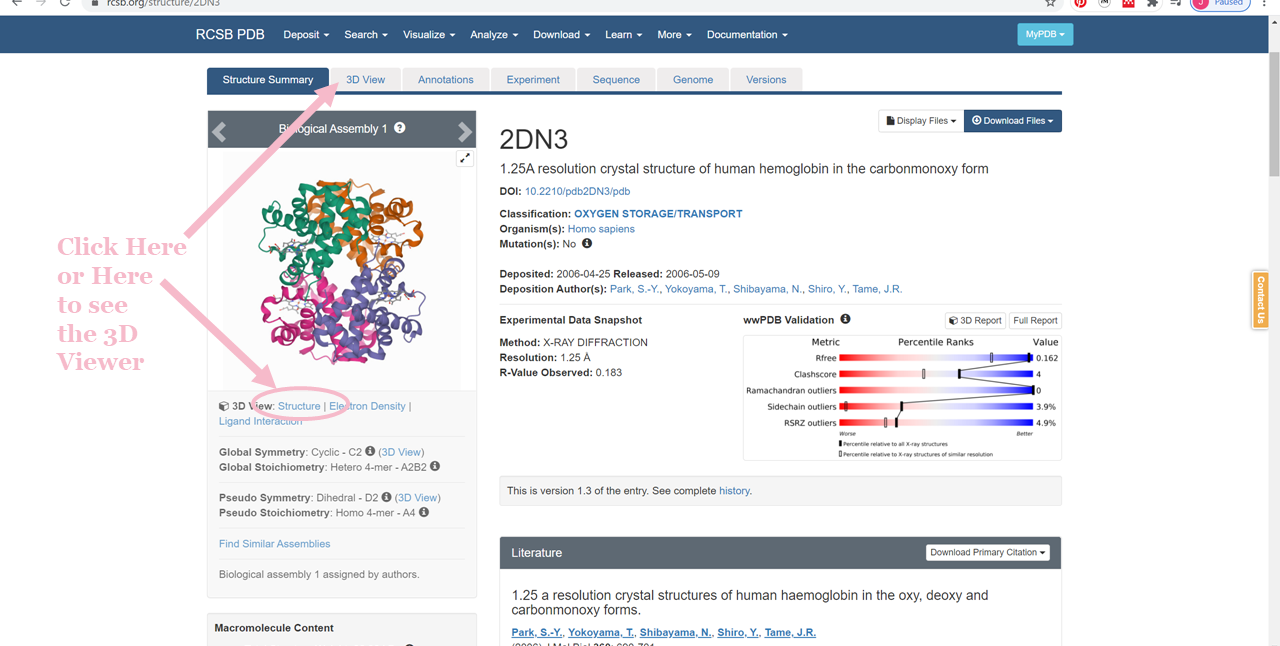 What are all those squiggly lines you keep showing us? (How to “Read” a ...