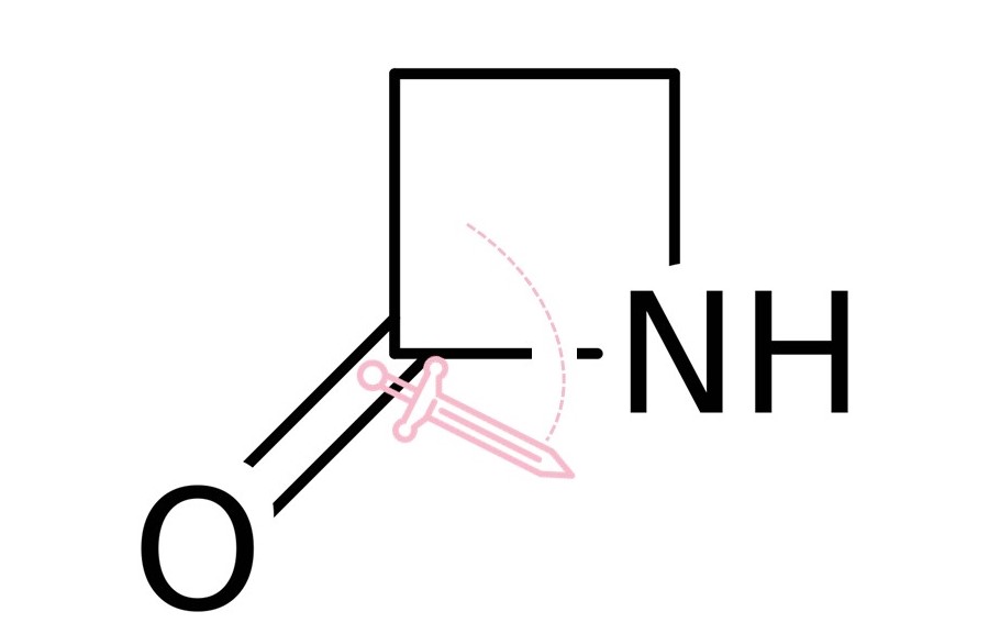 Structure of a beta-lactam is sliced open by a sword, representing beta-lactamase.