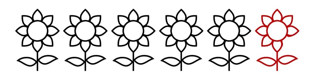 Six flowers, all in a row. The last flower has a single petal missing.