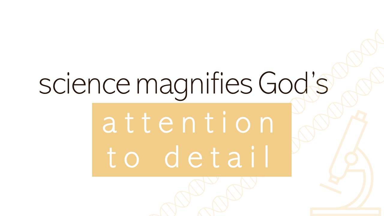 "science magnifies God's attention to detail"